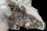 Quartz/Amethyst Crystal Geode Section - Morocco #70680-2